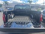 New 2025 Ford F-150 XL SuperCrew Cab for sale #250244 - photo 6