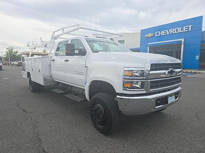 2023 Chevrolet Silverado 5500 Crew Cab DRW 4WD, Combo Body for sale #NN10730 - photo 1