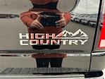 New 2025 Chevrolet Silverado 3500 High Country Crew Cab 4WD Pickup for sale #SS2900 - photo 16