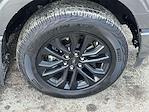 2024 Ford F-150 SuperCrew Cab 4WD Pickup for sale #U6971A - photo 9