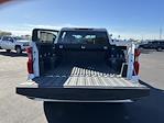 2024 Chevrolet Silverado 1500 Crew Cab 4x2 Pickup for sale #32244 - photo 16