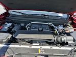 2024 Chevrolet Colorado Crew Cab 4x2 Pickup for sale #32362RA - photo 11
