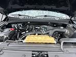 2020 Ford F-150 SuperCrew Cab 4x2 Pickup for sale #32397WA - photo 11