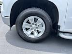 2024 Chevrolet Silverado 1500 Regular Cab 4x2 Pickup for sale #32441 - photo 9