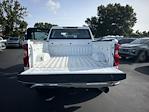 2024 Chevrolet Silverado 2500 Crew Cab 4x4 Pickup for sale #32547E - photo 16
