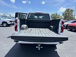 2024 Chevrolet Silverado 1500 Crew Cab RWD Pickup for sale #32708 - photo 16