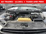 2019 Ford F-150 Regular Cab RWD Pickup for sale #32727W - photo 11