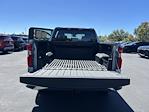 2023 Chevrolet Silverado 1500 Crew Cab 4WD Pickup for sale #32813 - photo 16