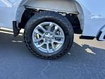 2024 Chevrolet Silverado 1500 Crew Cab RWD Pickup for sale #32876 - photo 10