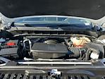 2024 Chevrolet Silverado 1500 Crew Cab RWD Pickup for sale #32876 - photo 11