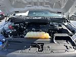 Used 2022 Ford F-150 XL Regular Cab for sale #32924 - photo 12