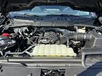 2024 Ford F-150 SuperCrew Cab 4x4 Pickup for sale #M517062A - photo 11