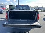 2024 Ford F-150 SuperCrew Cab 4x4 Pickup for sale #M517062A - photo 16