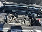 2023 Toyota Tacoma Double Cab RWD Pickup for sale #T193226A - photo 11