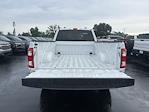 2023 Ford F-150 Regular Cab RWD Pickup for sale #T207408A - photo 11