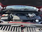 2024 Chevrolet Silverado 1500 Crew Cab 4WD Pickup for sale #T286651A - photo 11