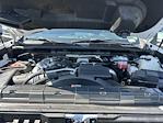 2024 Chevrolet Silverado 2500 Crew Cab 4x4 Pickup for sale #T301933A - photo 11