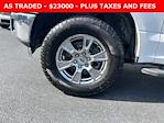 2020 Ford F-150 SuperCrew Cab 4x2 Pickup for sale #T305288W - photo 9