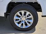 2025 Chevrolet Silverado 1500 Crew Cab RWD Pickup for sale #C25118 - photo 6