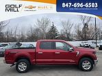 2024 Ford F-150 SuperCrew Cab 4WD Pickup for sale #Z1585 - photo 6