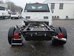 2024 Ford F-550 Regular Cab DRW 4WD, Cab Chassis for sale #F43869 - photo 16