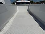 2025 Chevrolet Silverado 3500 Regular Cab 4WD Service Truck for sale #A7781 - photo 10