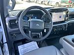 2024 Ford F-150 Regular Cab 4x2 Pickup for sale #16407 - photo 13