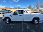 2024 Ford F-150 Regular Cab 4x2 Pickup for sale #16407 - photo 3