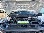 2024 Ford F-150 Regular Cab 4x2 Pickup for sale #16407 - photo 22