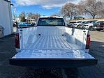 2024 Ford F-150 Regular Cab 4x2 Pickup for sale #16407 - photo 23