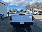 2024 Ford F-150 Regular Cab 4x2 Pickup for sale #16407 - photo 4