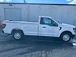 2024 Ford F-150 Regular Cab 4x2 Pickup for sale #16407 - photo 6