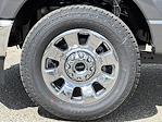2025 Ford F-250 Crew Cab 4x4 Pickup for sale #16565 - photo 30