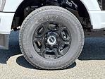 New 2025 Ford F-350 Regular Cab 4x4 SRW Pickup for sale #16707 - photo 26