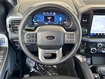 2025 Ford F-150 SuperCrew Cab 4x4 Pickup for sale #16735 - photo 15