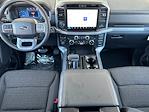 New 2025 Ford F-150 XLT SuperCrew Cab 4x4 Pickup for sale #16756 - photo 14