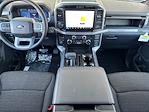 New 2025 Ford F-150 XLT SuperCrew Cab for sale #16758 - photo 14