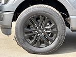 2025 Ford F-150 SuperCrew Cab 4x4 Pickup for sale #16860 - photo 31