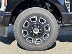 New 2026 Ford F-250 Platinum Crew Cab for sale #16915 - photo 31