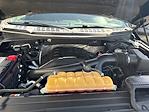 2015 Ford F-150 SuperCrew Cab 4x4 Pickup for sale #HF7816 - photo 22