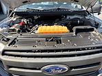 2018 Ford F-150 Regular Cab 4x2 Pickup for sale #HF7886 - photo 22
