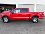 2023 Ford F-150 SuperCrew Cab 4WD Pickup for sale #HF8015 - photo 3