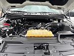 2022 Ford F-150 SuperCrew Cab RWD Pickup for sale #HF8032 - photo 22