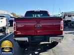 2014 Ford F-150 SuperCrew Cab 4WD Pickup for sale #BB0011B - photo 6