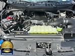 2024 Ford F-150 Regular Cab 4x4 Pickup for sale #LP5397 - photo 9