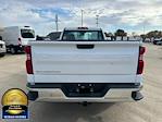 Used 2024 Chevrolet Silverado 1500 Work Truck Regular Cab for sale #LP5641 - photo 4