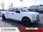 2017 Ford F-150 SuperCrew Cab 4x4 Pickup for sale #624560B - photo 1