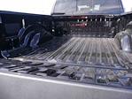 2025 Ram 1500 Crew Cab 4x4 Pickup for sale #625066 - photo 9