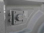 2025 Ram 3500 Crew Cab 4x4 Pickup for sale #625084 - photo 12