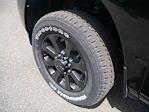 2025 Ram 2500 Crew Cab 4x4 Pickup for sale #625093 - photo 13